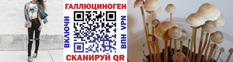 Галлюциногенные грибы ЛСД  МЕГА зеркало  Спасск 
